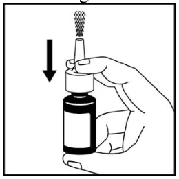 Ein Bild, das Entwurf, Zeichnung, Flasche, Darstellung enthält.

Automatisch generierte Beschreibung