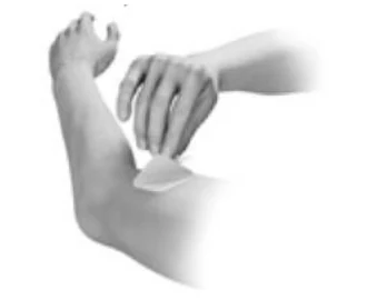 A close-up of a hand

Description automatically generated with low confidence