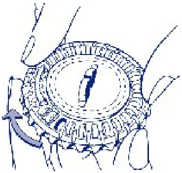 Act_pic3-280 