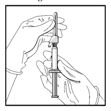 Ein Bild, das Entwurf, Lineart, Zeichnung, Malbuch enthält.

Automatisch generierte Beschreibung 