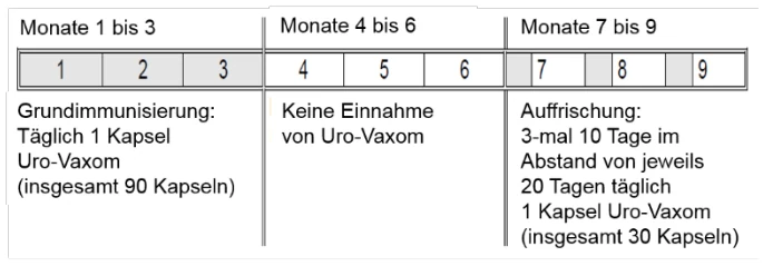 Y:\Pharma\Zulassungen Pharma\Produkte\Pharma GmbH\Uro-Vaxom\02- Textupdates\2019-06_Akt. wg. neuem Stand der Info\work\Bild1.png