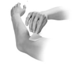 A close-up of a hand

Description automatically generated with low confidence