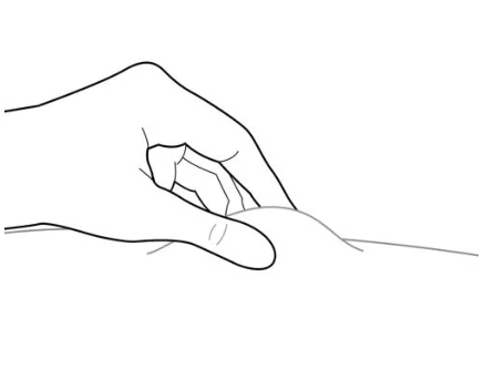 A drawing of a hand

Description automatically generated