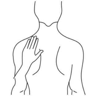 Ein Bild, das Lineart, Strichzeichnung, Entwurf, Malbuch enthält.

Automatisch generierte Beschreibung