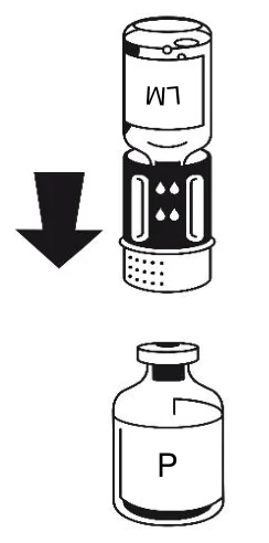 A picture containing drawing

Description automatically generated