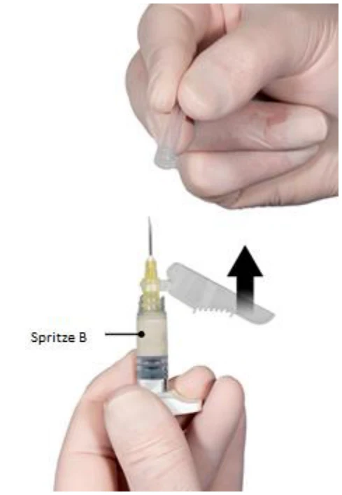 Ein Bild, das Person, haltend, Hand enthält.
Automatisch generierte Beschreibung