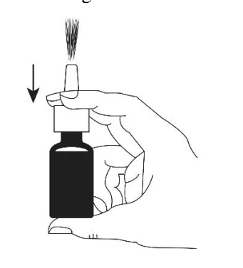 A picture containing sketch, drawing, line art, clipart

Description automatically generated
