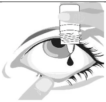 6_Place the tip of the bottle close to but not touching your eye2
