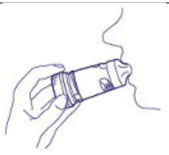 image?image_id=ELEMENT 