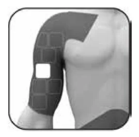 Text, icon

Description automatically generated