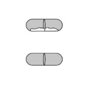 A close-up of a pill

Description automatically generated 