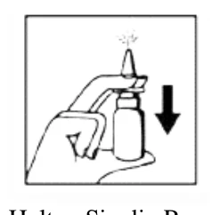 Bild mit Skizze, Strichzeichnung, Zeichnung, Clipart
Beschreibung automatisch generiert (Rectangle)