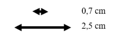 A black arrows pointing to a smaller black arrow

Description automatically generated with medium confidence