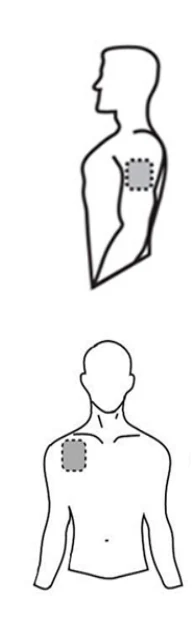 Ein Bild, das Entwurf, Lineart, Zeichnung, Gelenk enthält.

Automatisch generierte Beschreibung