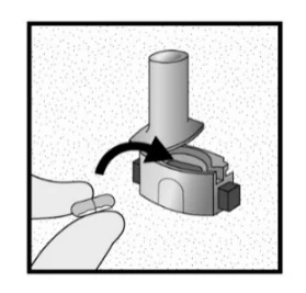 A diagram of a pill capsule

Description automatically generated 