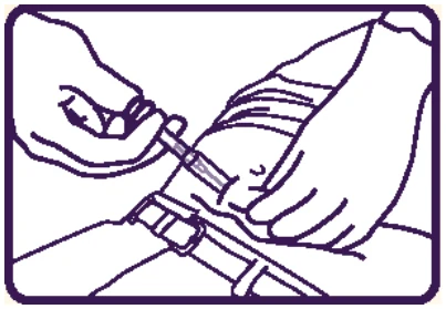 P307C3T4#yIS1