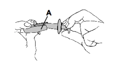 P117C3T1#yIS1
