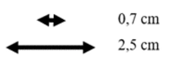 A black arrows pointing to the right
Description automatically generated
