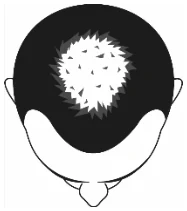 Ein Bild, das Entwurf, Zeichnung, Clipart, Darstellung enthält.

Automatisch generierte Beschreibung