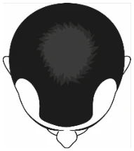 Ein Bild, das Entwurf, Clipart, Grafiken, Zeichnung enthält.

Automatisch generierte Beschreibung